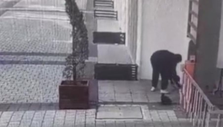 Bursa’da apartmanın önündeki kedi mamasını çaldı!