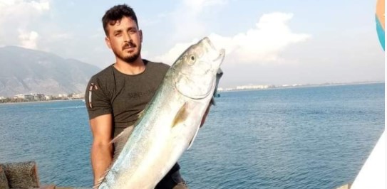 Amatör balıkçı kıyıdan olta attı 17 kiloluk balık yakaladı!