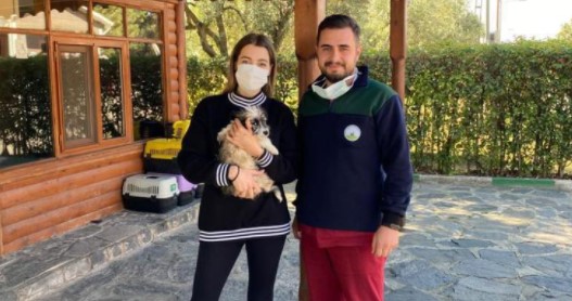 Osmangazi’de can dost sıcak yuvaya kavuşturuldu Osmangazi’de can dost sıcak yuvaya kavuşturuldu