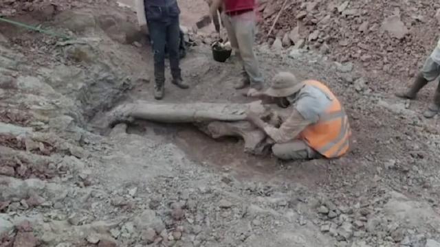 Brezilya’da dinozor keşfi!