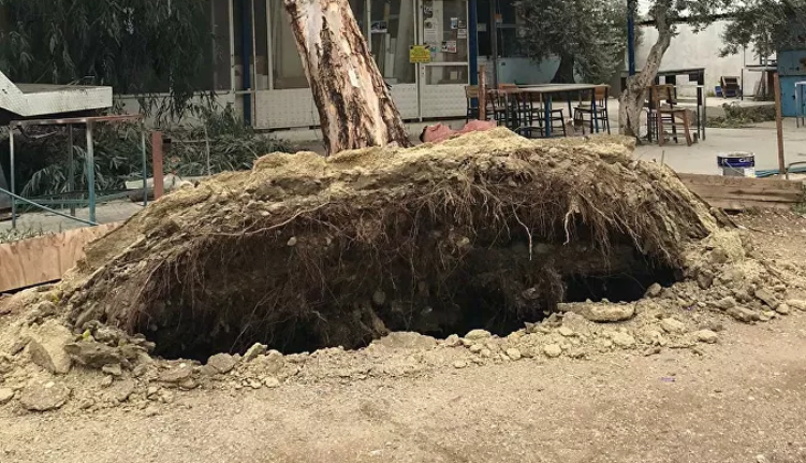 İşçilerin lodostan korunmak için girdikleri binanın çatısı uçtu