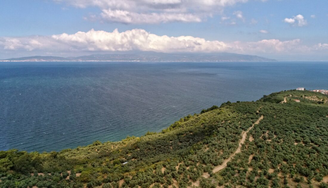 Marmara’ya kıyısı olan belediyeler Mudanya Deniz Çalıştayı’nda buluşacak