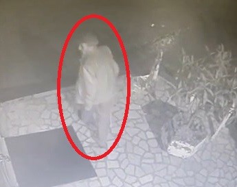 Bursa’da vahşet! Havlamasına kızdı, engelli köpeği sopayla dövdü