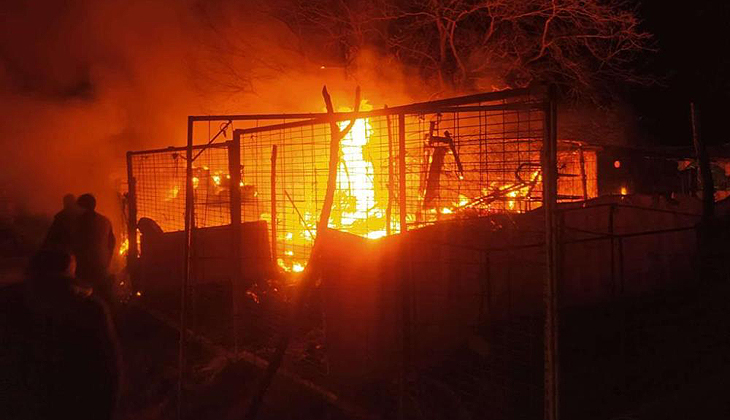Bursa’da çiftlik yangını! 160 küçükbaş son anda kurtarıldı