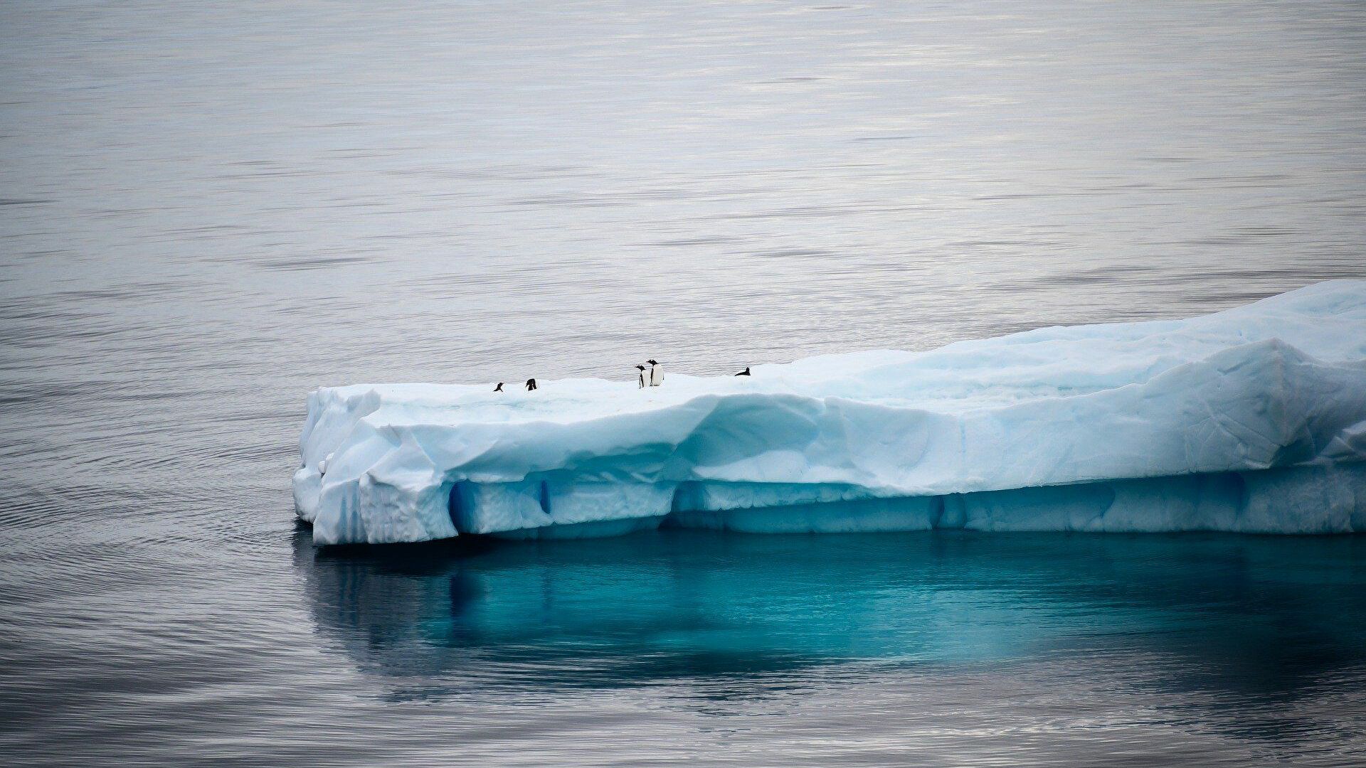 Bilim insanlarından iklim krizi çözümü: Kutupları yeniden dondurmak
