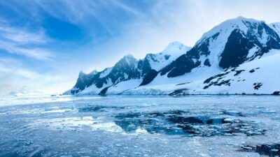 Antarktika’dan ‘hayat’ çıktı: 77’den fazla tür keşfedildi