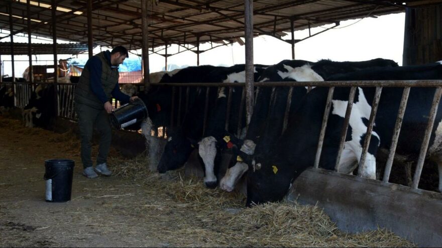 Süte yeni zam kapıda!