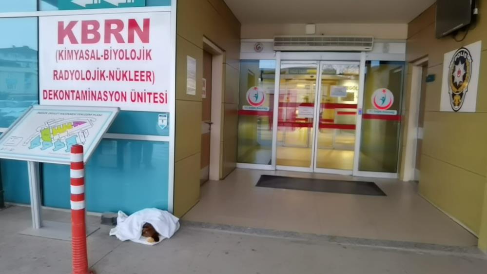 Bursa’da soğuktan titreyen yavru köpeğe sağlıkçı şefkati Bursa’da soğuktan titreyen yavru köpeğe sağlıkçı şefkati