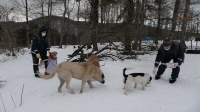 Bursa’da karda aç kalan hayvanları elleriyle beslediler