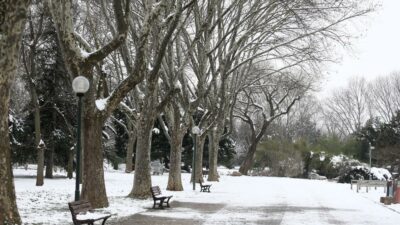 Bursa Botanik Park’ta kar sessizliği