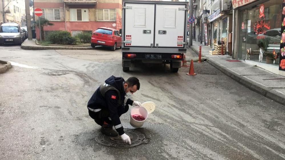 Osmangazi’de haşerelere karşı ilaçlama Osmangazi’de haşerelere karşı ilaçlama