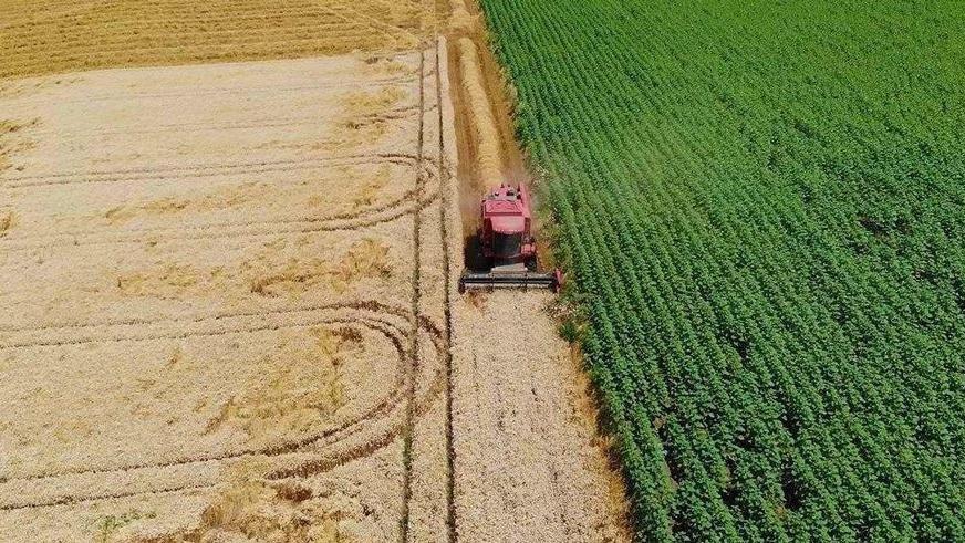 Çiftçinin enflasyonu rekor kırdı