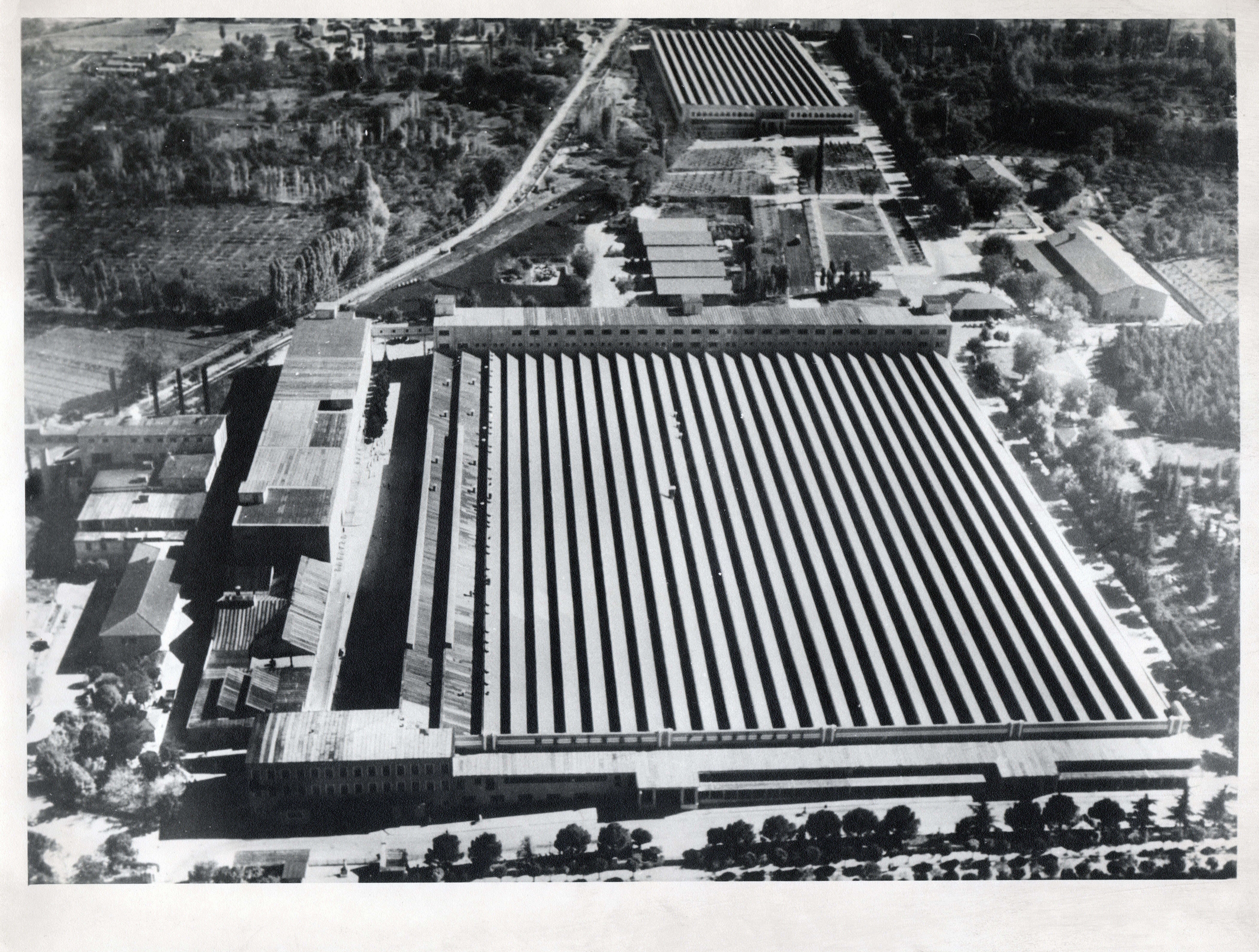 1936 yılından bir Merinos öyküsü