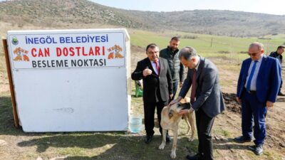 Bursa’da can dostları için yeni beslenme noktaları oluşturuluyor