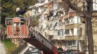 Bursa’da ağaçta asılı kalan kuşu itfaiye ekipleri kurtardı