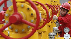 Rus ve Çinli şirketler iki ülke arasında ilave doğalgaz sevkiyatı için görüştü