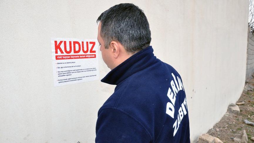 7 kişiyi ısıran sokak köpeği kuduz çıktı!