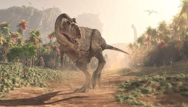 Arjantin’de kolsuz dinozor türü keşfedildi