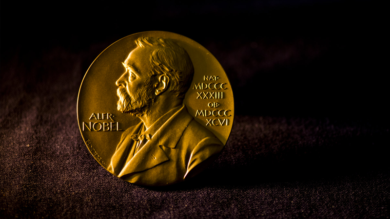 Nobel Barış Ödülü madalyasını Ukraynalı sığınmacılar için açık artırmayla satacak