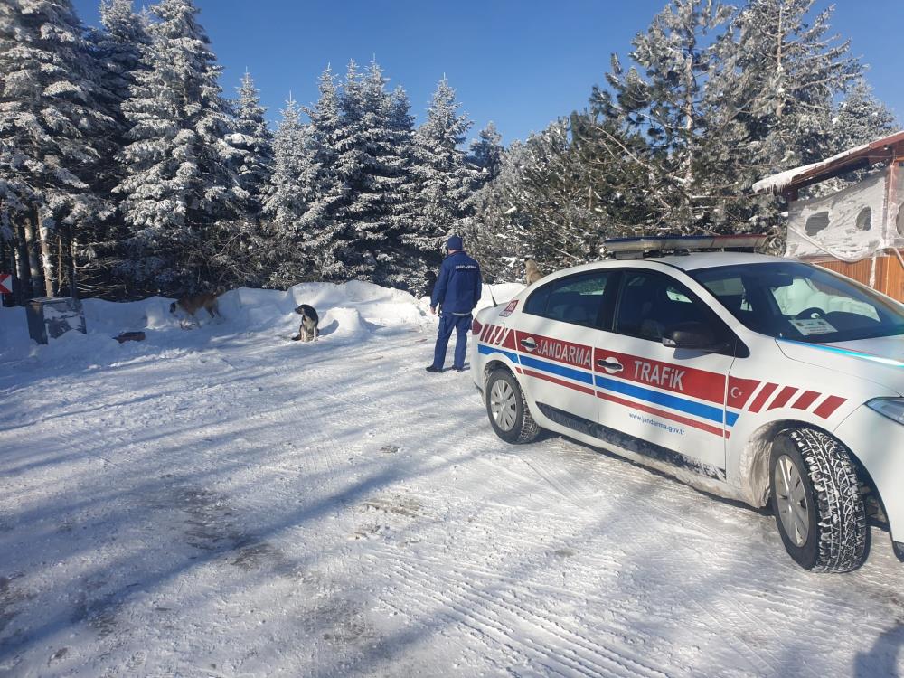 Uludağ’da aç kalan köpeklere jandarma şefkati