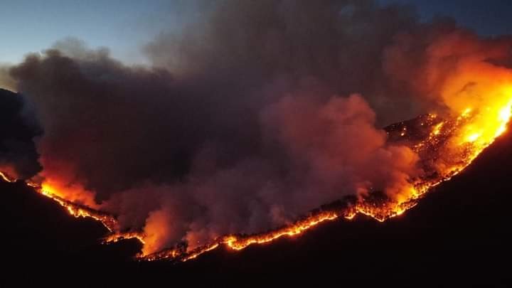 Meksika’da 33 ayrı noktada orman yangını