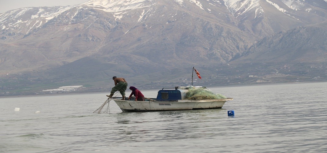 Sazan, yayın, siraz… Av yasağı başlıyor!
