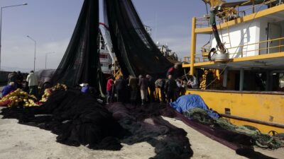 Karadenizli balıkçılar: Umudumuz seneye kaldı