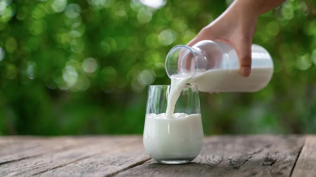 Litre başına çiğ süt desteği artırıldı
