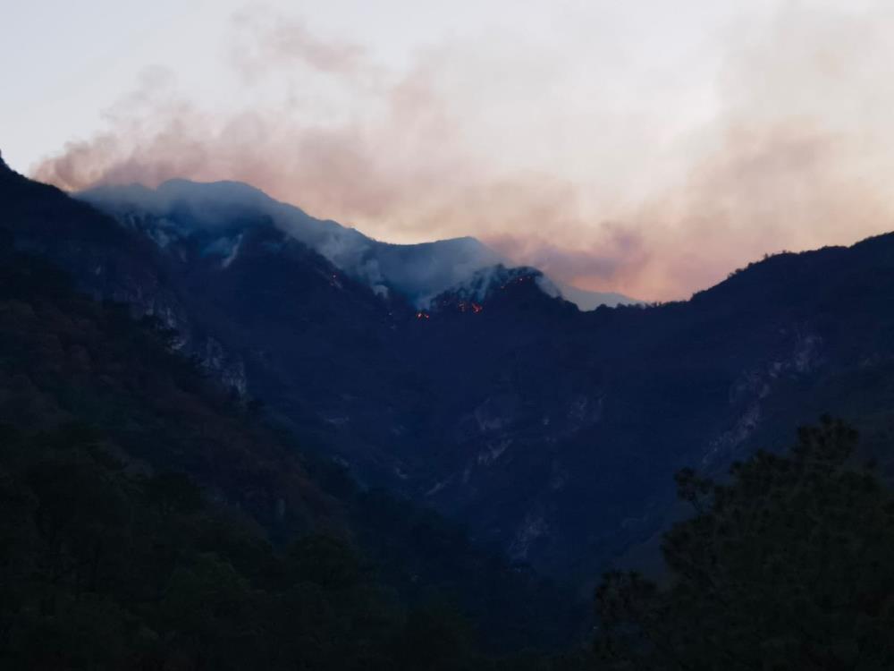 Meksika’da son 24 saatte 39 orman yangını