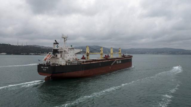 Rusya’dan ayçiçek yağı getiren gemi Boğazdan geçti