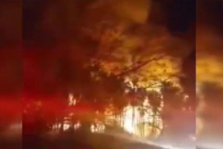 Meksika’da feci orman yangını! 22 ev küle döndü