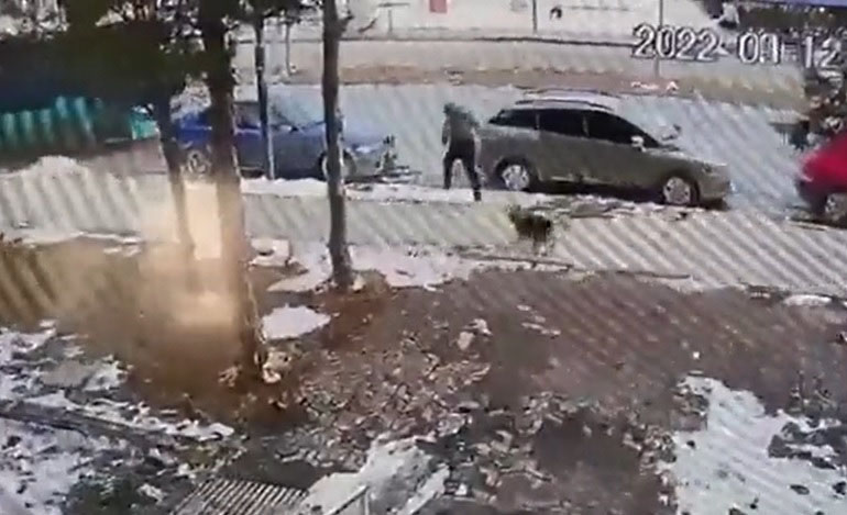 Sokak köpeğinden kaçan çocuğa otomobil çarptı