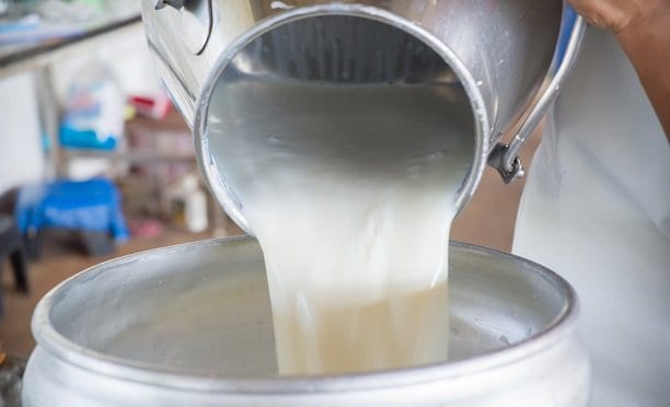 Çiğ sütte destek ödemesi yükseldi