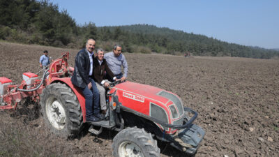 Mudanya Belediyesi’nin ayçiçek tohumları toprakla buluştu