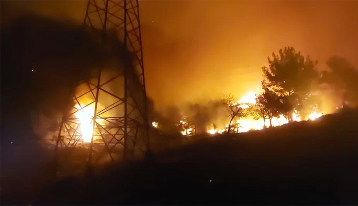 Hatay’da orman yangını