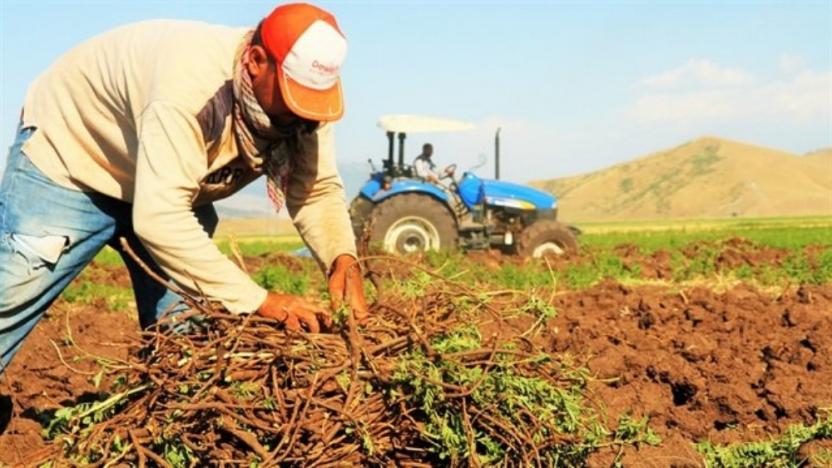 Çiftçilere hastalık ve zararlılara karşı mücadele uyarısı