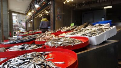 Ramazanda balığa ilgi az olunca fiyatlar geriledi