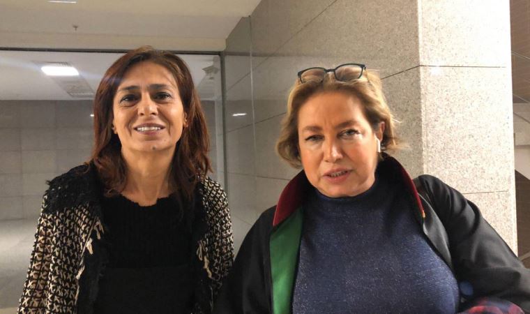 Sokak köpekleriyle ilgili paylaşımı tepki çekmişti: Yıldız Tilbe’nin ifadesinde Bursa ayrıntısı…