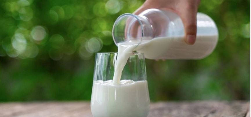 Süt ve kremada yeni ihracat kararı