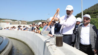 Bursa’da deniz suyu kalitesi artıyor