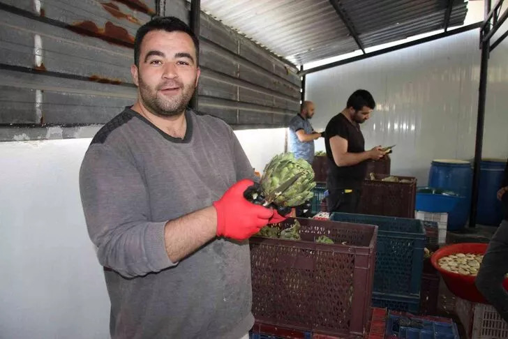 Bu iş bağımlılık yapıyor! Sezonda 100 bin lira kazanıyorlar