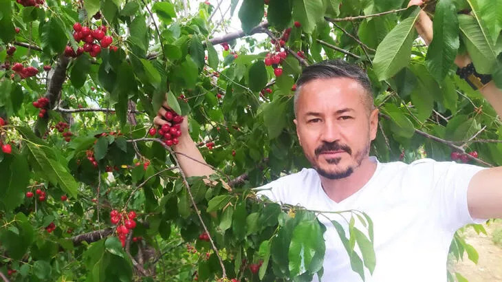 Kiraz hasadı başladı! Kilosu 1000 TL