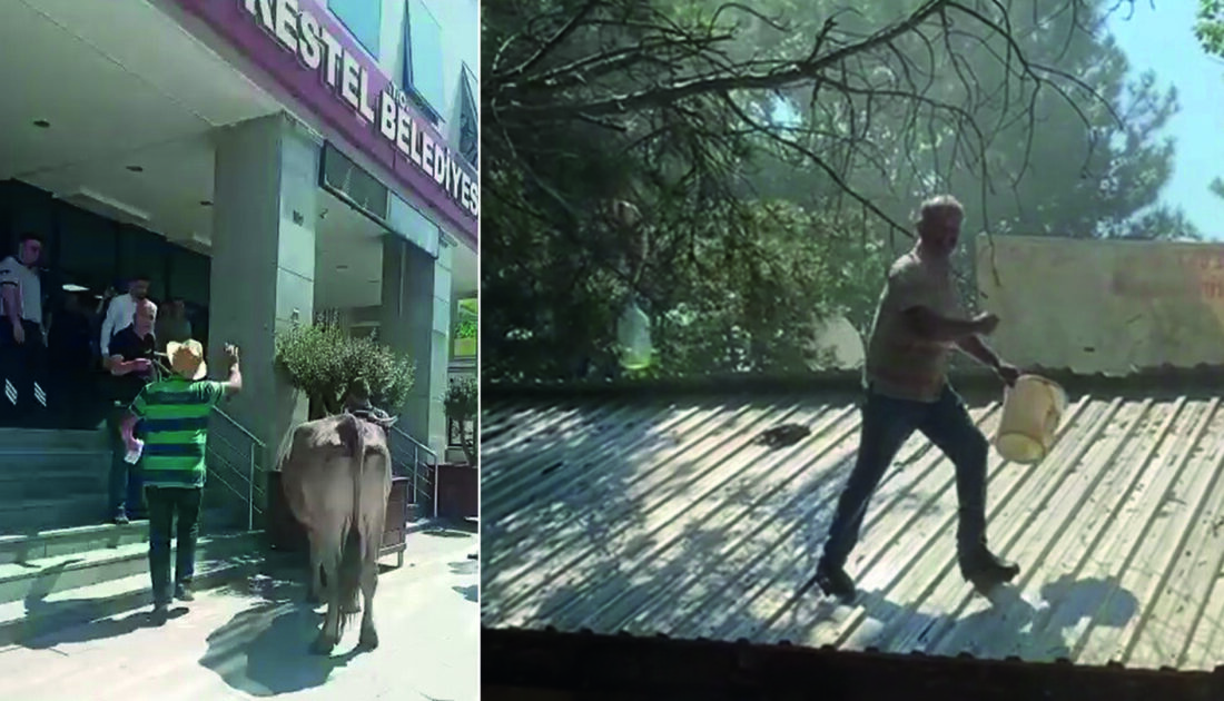 Bursa’da inekleriyle belediyeyi basmıştı… Şimdi de benzin bidonuyla çatıya çıktı