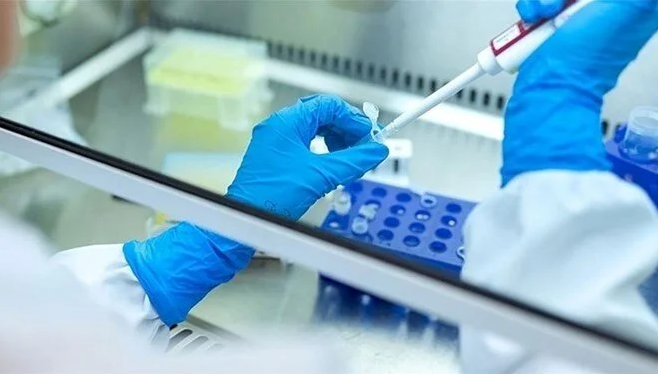 Gizemli hepatit vakaları! Evcil hayvanlardan mı bulaşıyor?