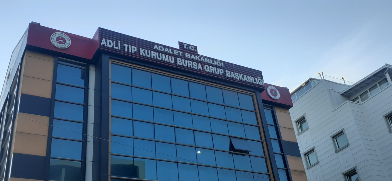 Başından silahla vurulmuş ve eli bileğinden kesilmiş 2 erkek cesedi bulundu