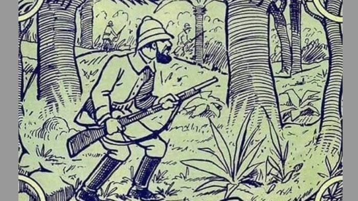 Resimdeki fili görebiliyor musunuz?