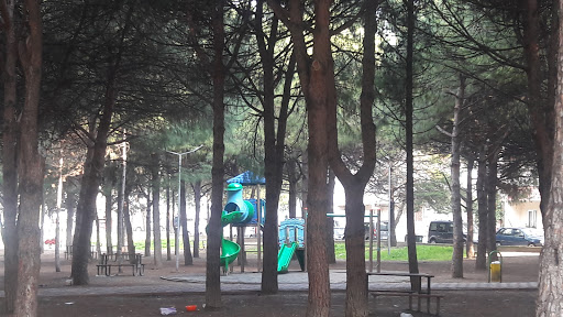 Bursa’daki Emek Çamlık Parkı bakıma alınıyor