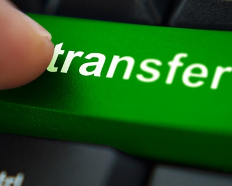 Fenerbahçe’den bir transfer daha