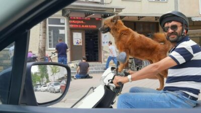 Bursa’da sahibinin motosikleti üzerinde yolculuk yapan köpek ilgi çekti