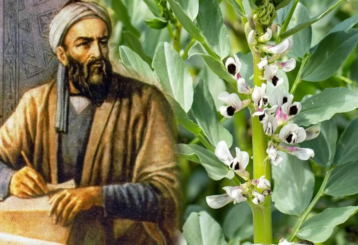 Uzun ömrün sırrı İbn-i Sina’nın kitabından çıktı!